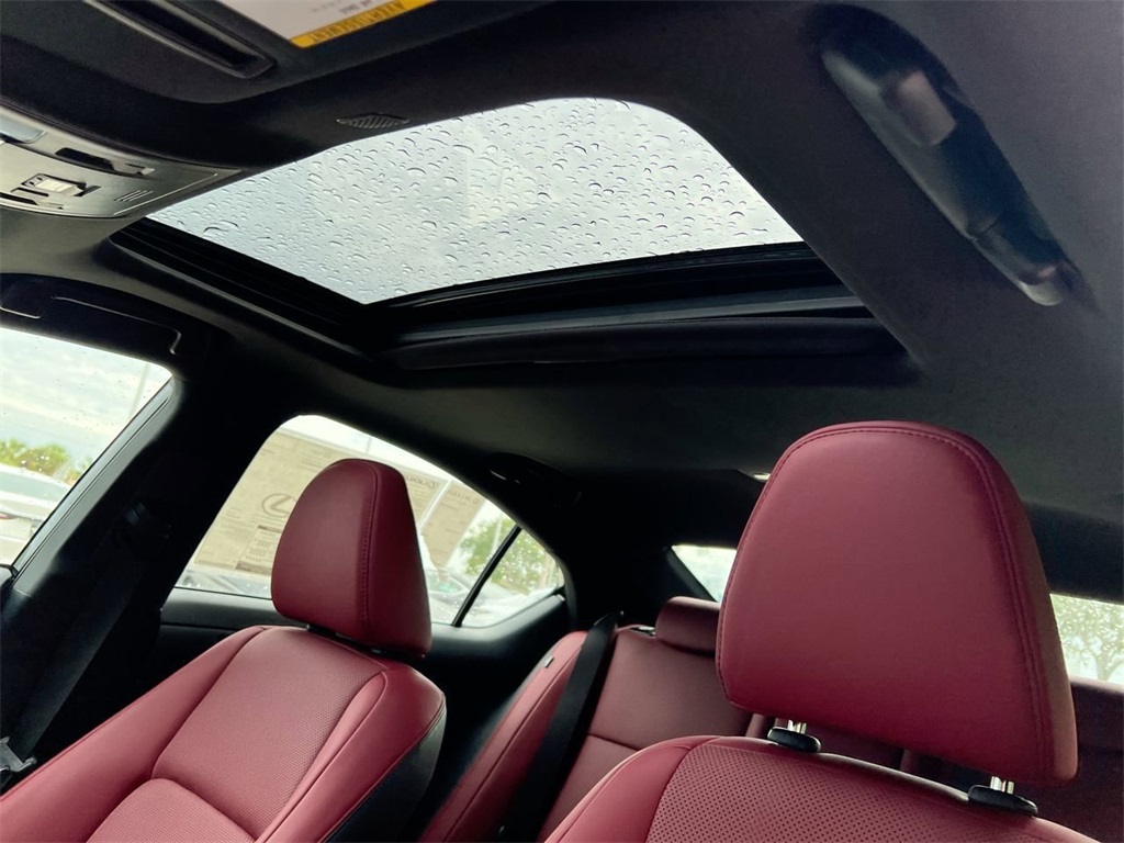 2025 Lexus IS 350 F SPORT photo 16