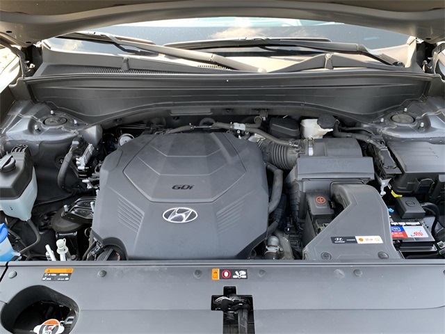 2020 Hyundai Palisade Limited photo 10