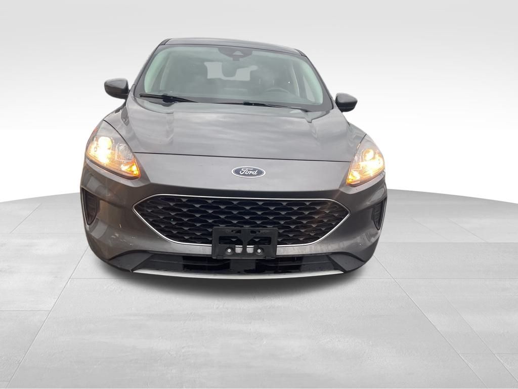 2021 Ford Escape SE Hybrid photo 4