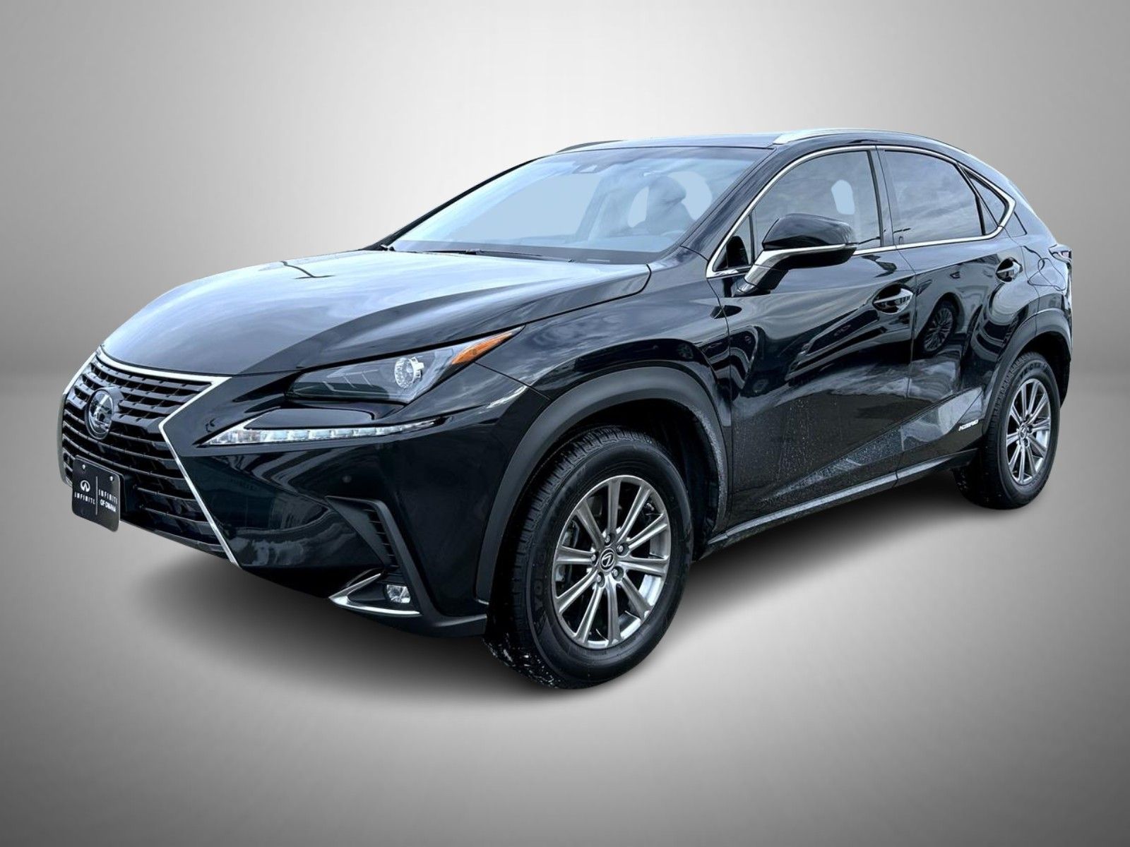 2018 Lexus NX 300h's photo