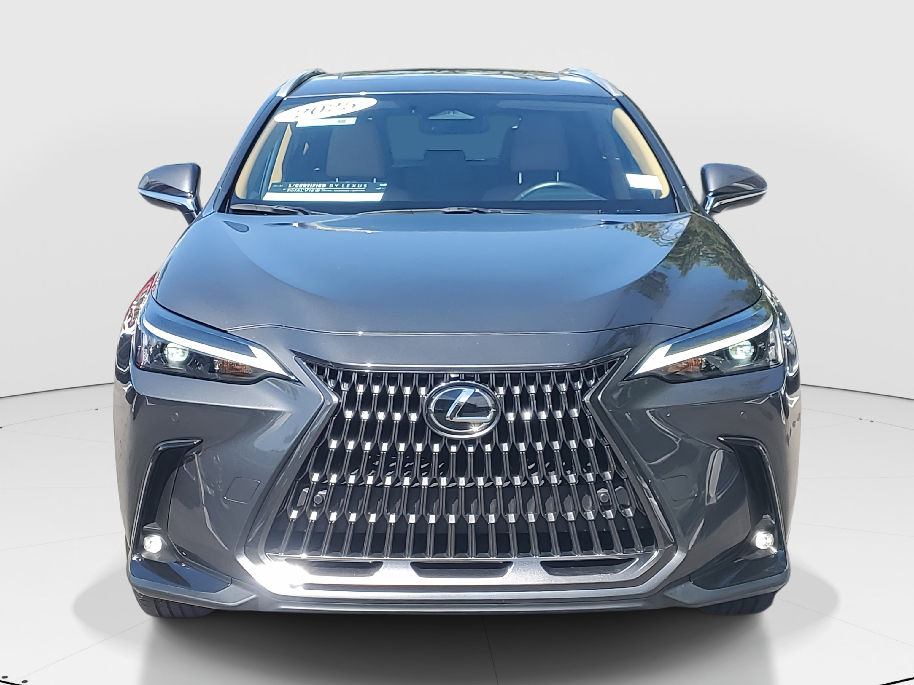2025 Lexus NX 250 photo 3