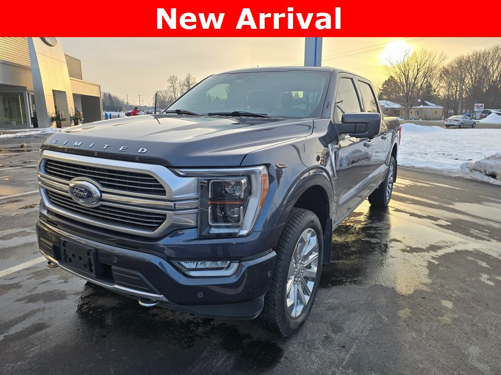 2022 Ford F-150 Limited's photo