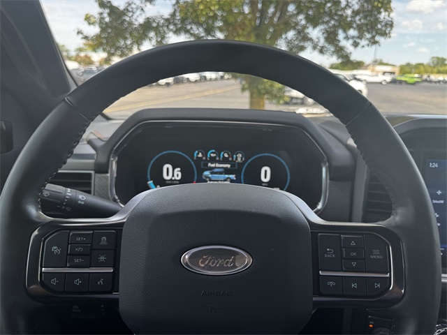 2021 Ford F-150 Platinum photo 21