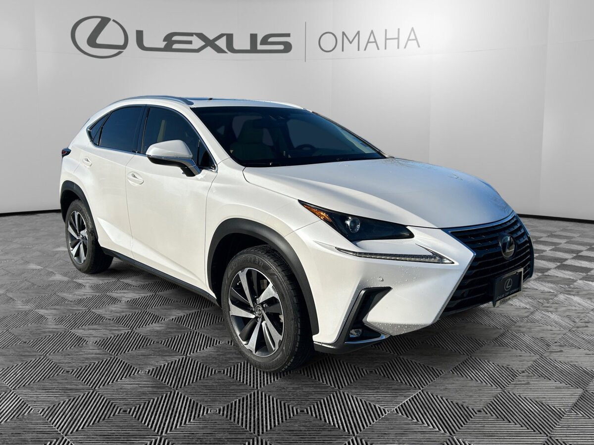 2018 Lexus NX 300's photo
