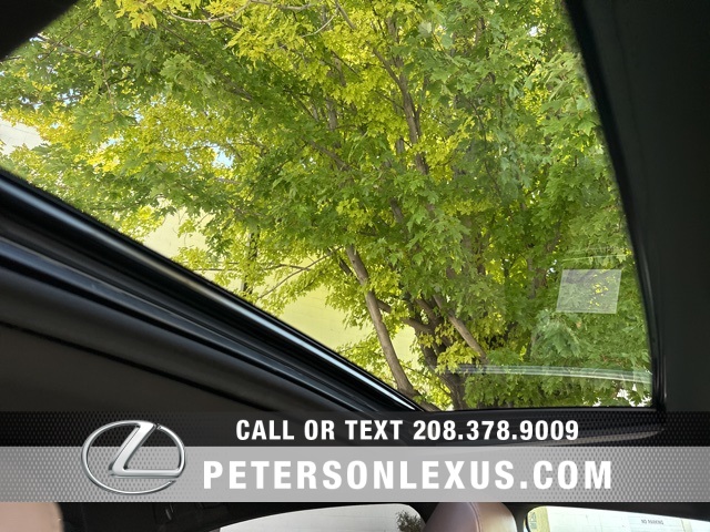 2022 Lexus ES 300h photo 14