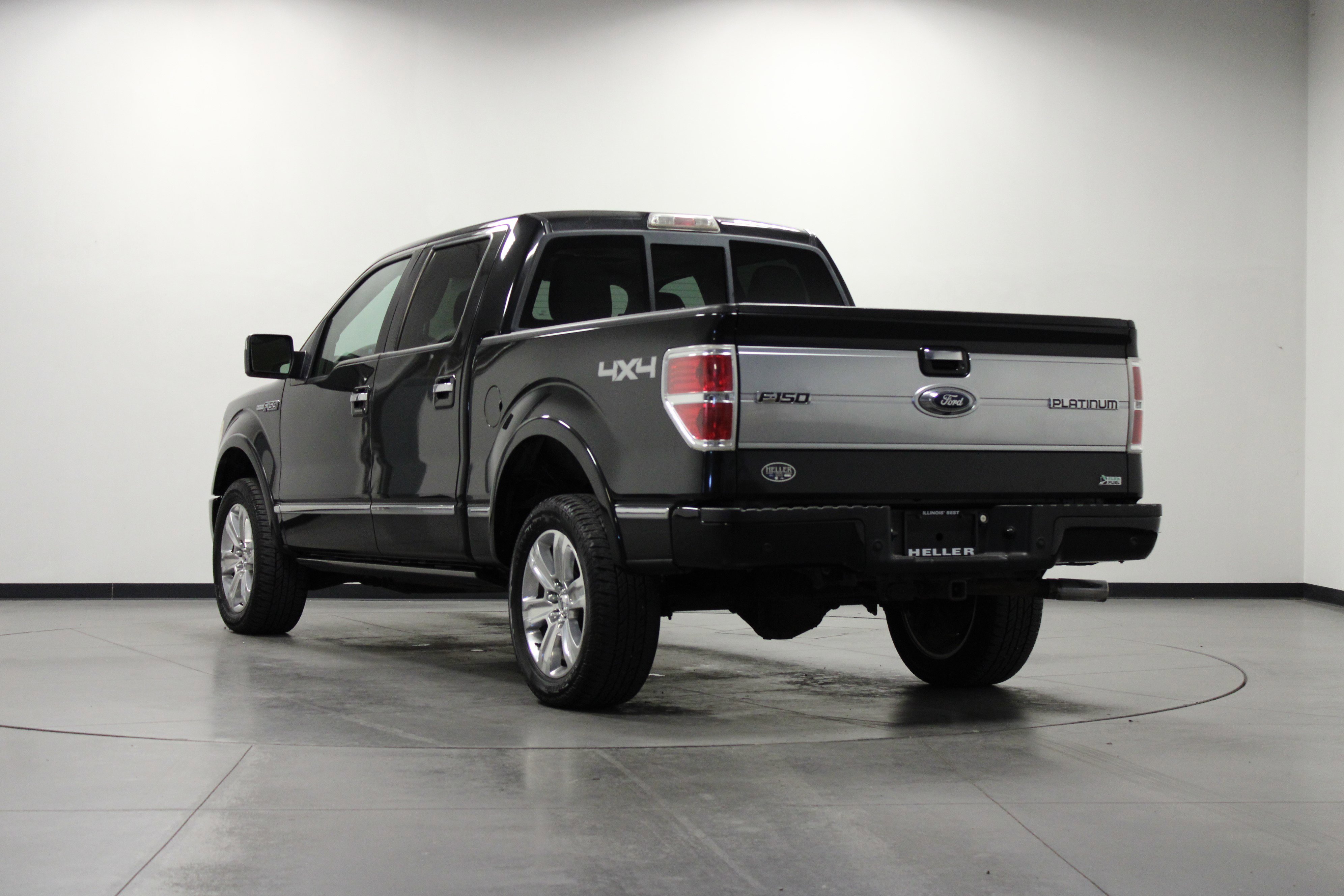 2010 Ford F-150 Platinum photo 5