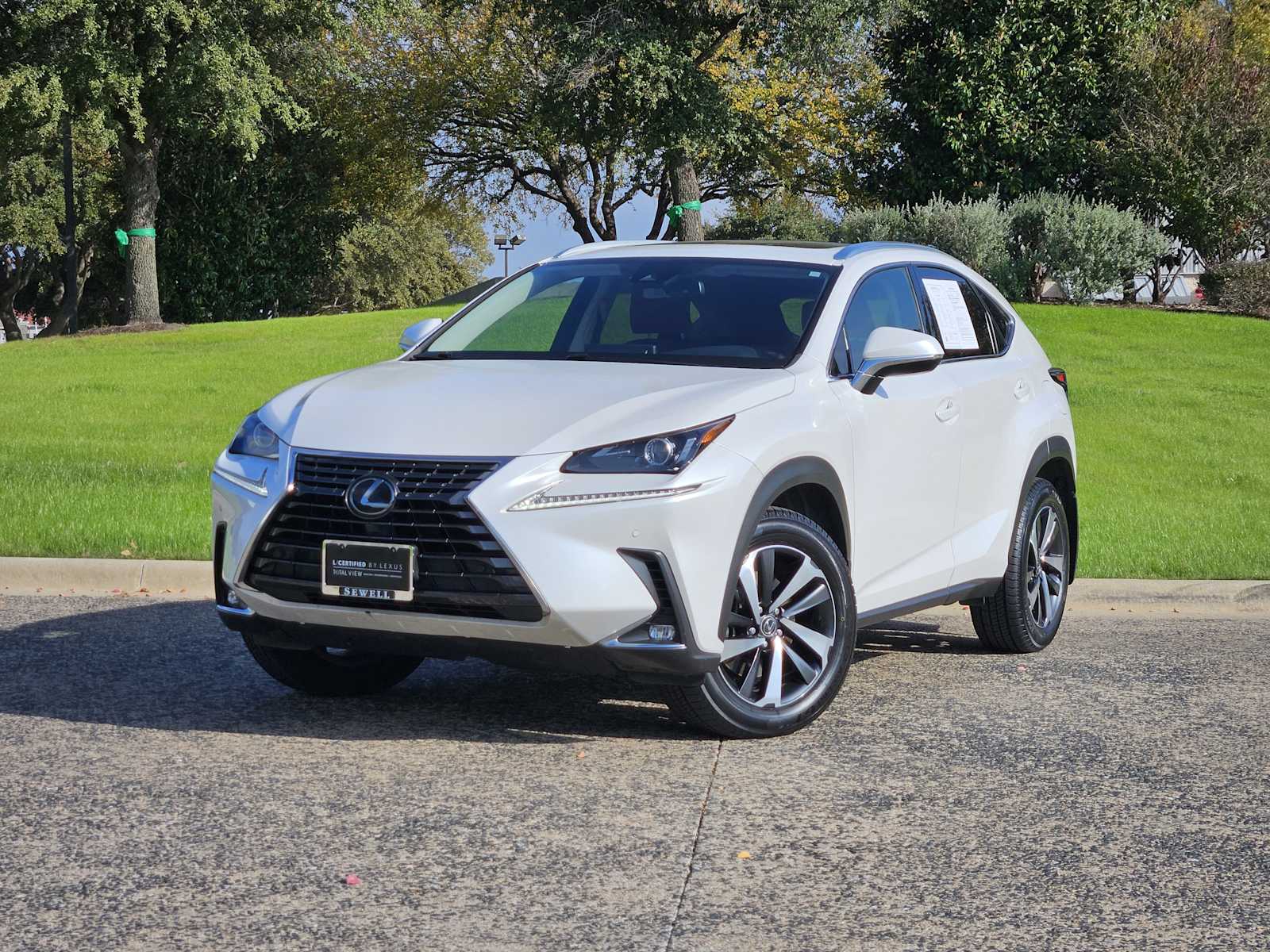 2021 Lexus NX 300's photo