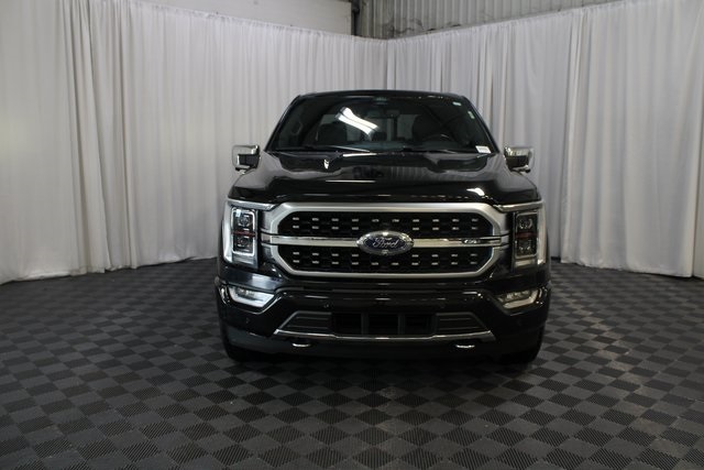 2021 Ford F-150 Platinum photo 30