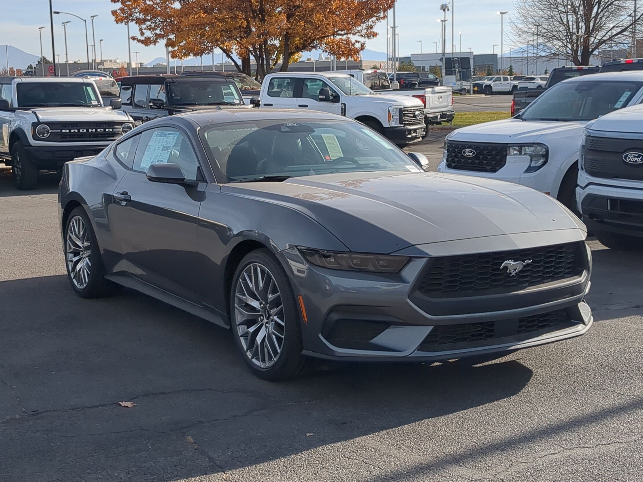 2025 Ford Mustang EcoBoost Premium's photo