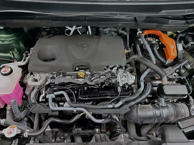 View 29