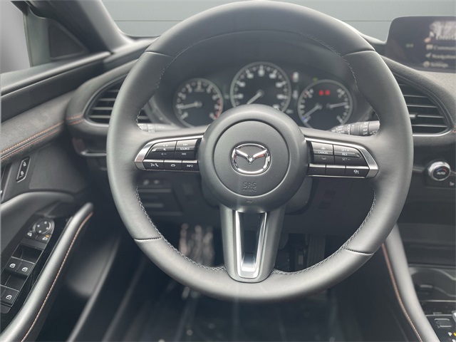 2025 Mazda Mazda3 Hatchback 2.5 Carbon Turbo photo 12