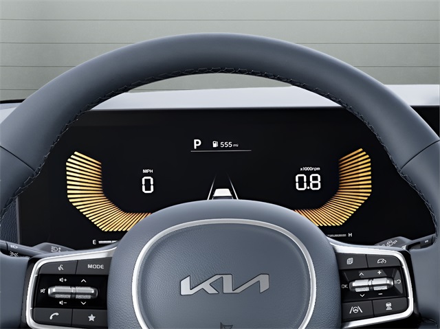 2025 Kia Carnival EX photo 19