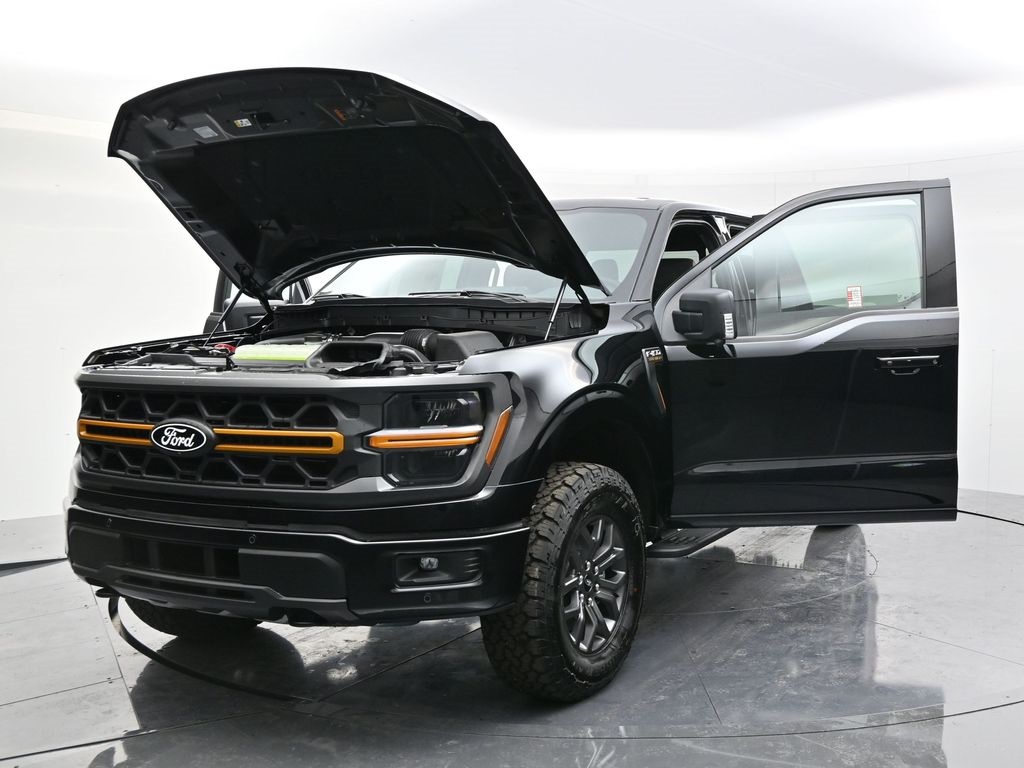 2025 Ford F-150 Tremor photo 52