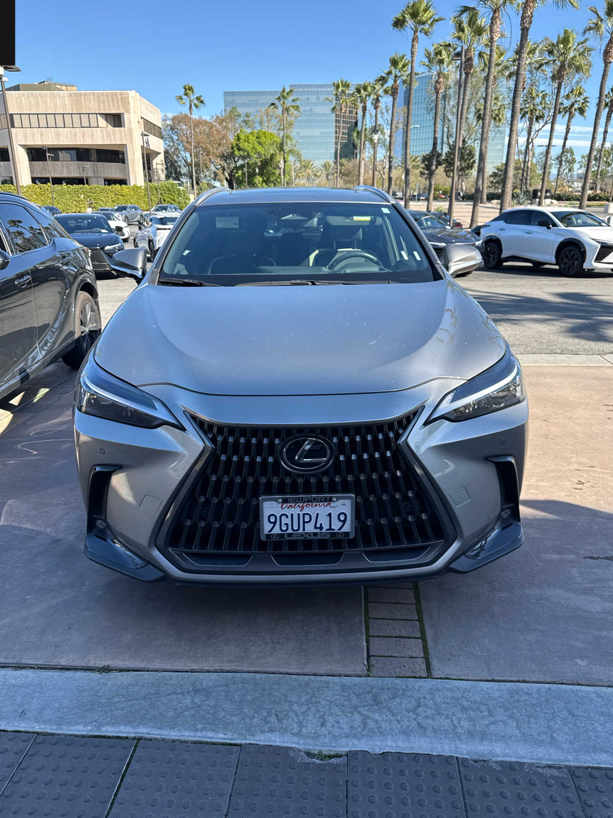2024 Lexus NX 350's photo
