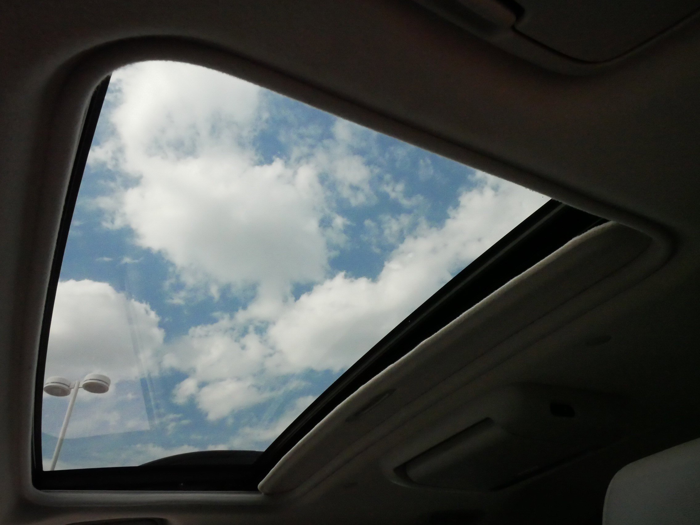 2009 Toyota Sienna XLE photo 29