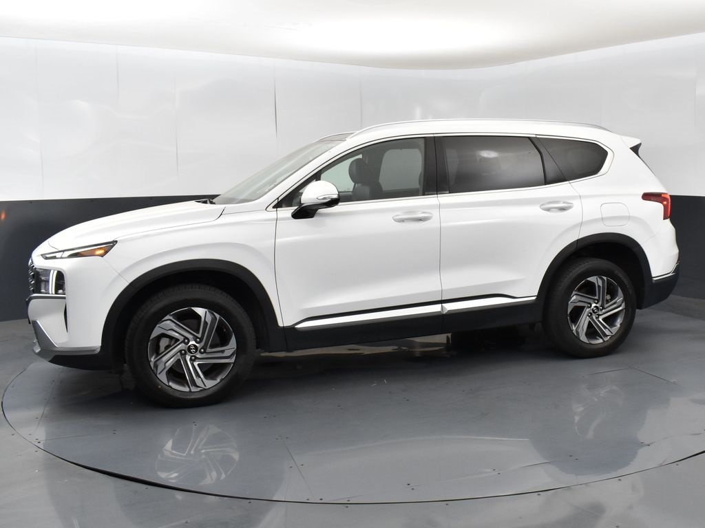 2023 Hyundai Santa Fe SEL Premium photo 3