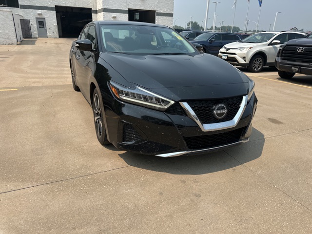 Used 2023 Nissan Maxima SV with VIN 1N4AA6CV9PC511085 for sale in Winona, Minnesota