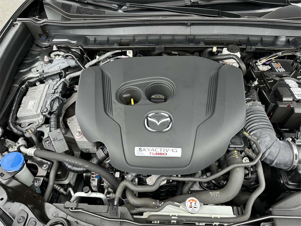 2023 Mazda CX-30 2.5 Turbo Premium photo 12