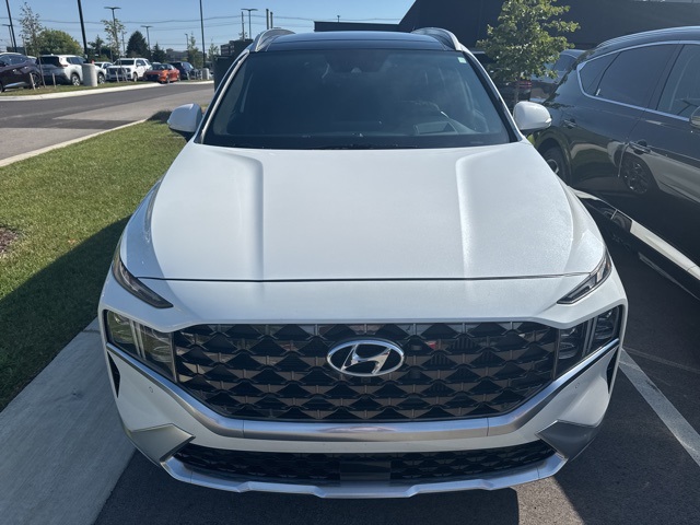 2022 Hyundai Santa Fe Calligraphy photo 2