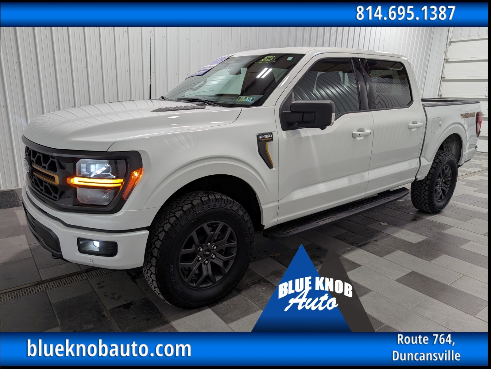2025 Ford F-150 Tremor's photo