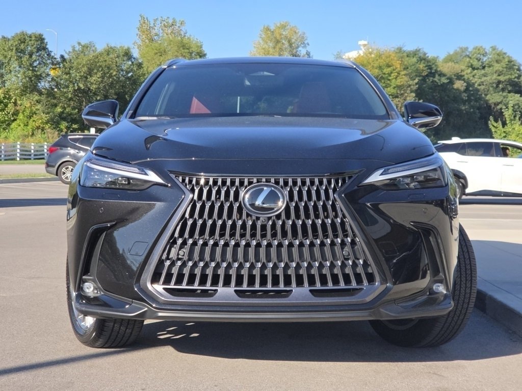 2024 Lexus NX 350 Luxury photo 2
