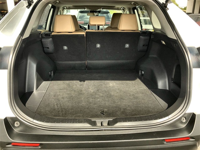 2025 Toyota RAV4 XLE Premium photo 12