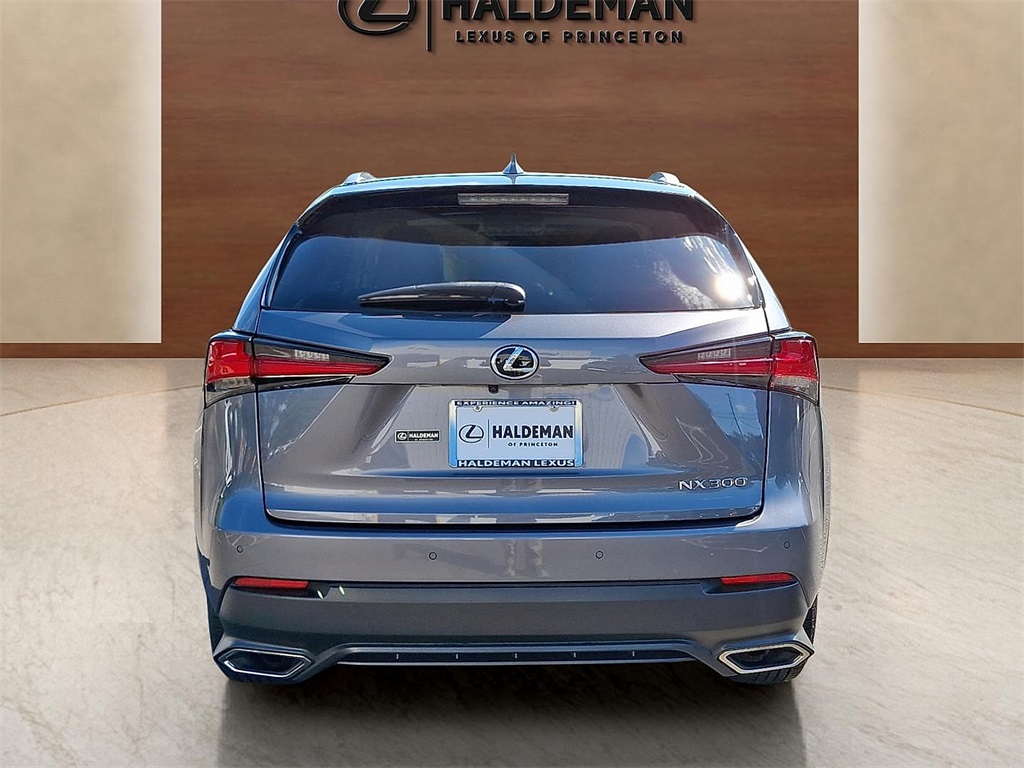 2019 Lexus NX 300 Luxury photo 4