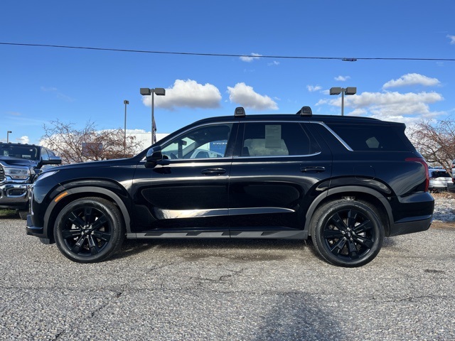 2025 Hyundai Palisade XRT photo 2