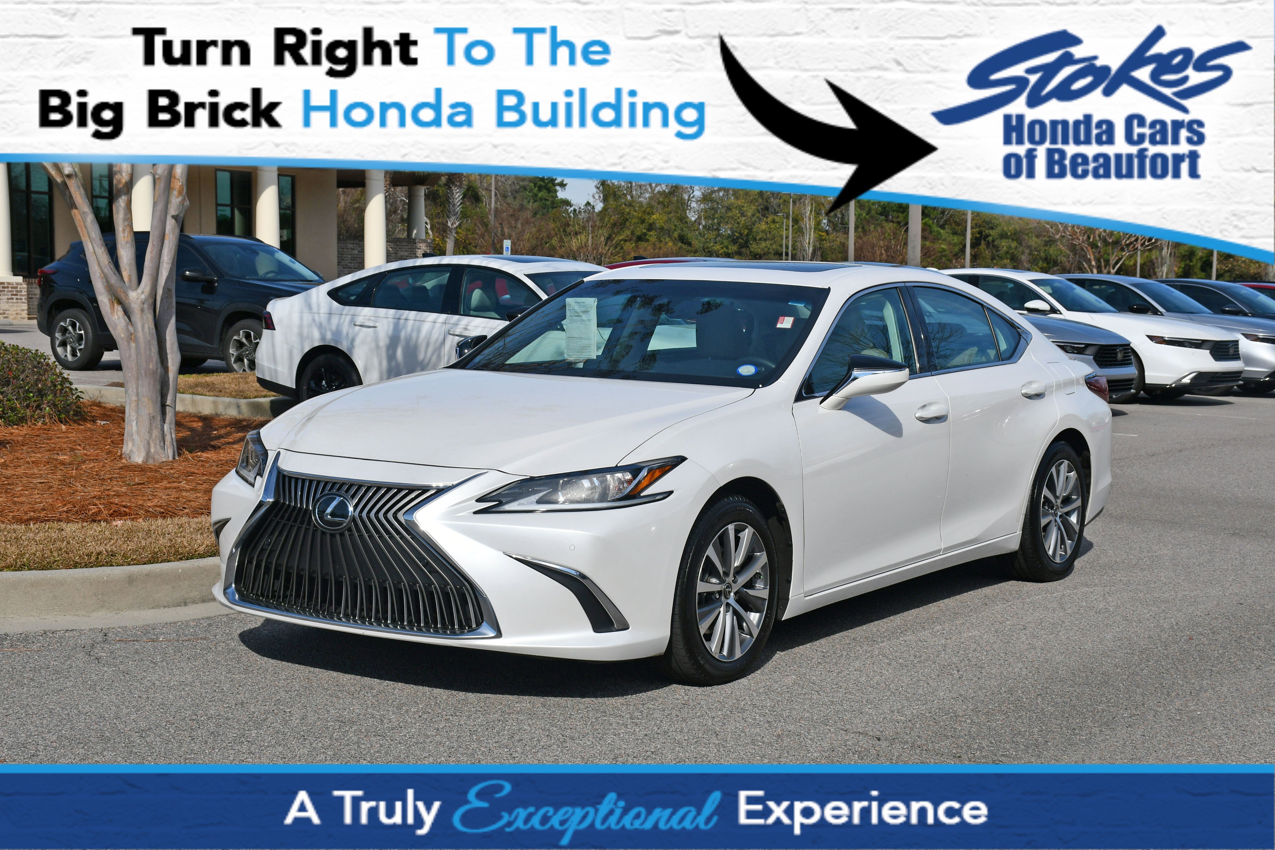 2020 Lexus ES Base's photo