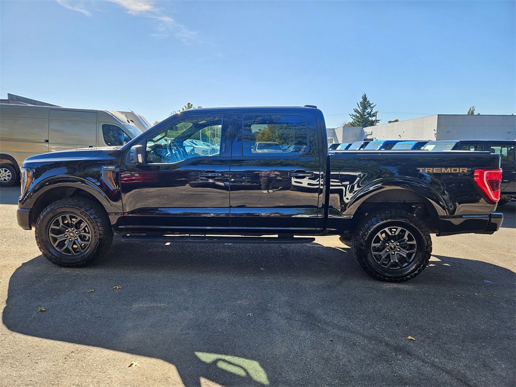 2022 Ford F-150 Tremor photo 4