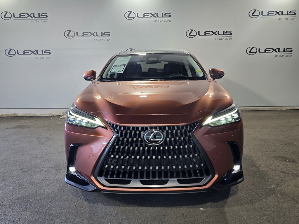 2025 Lexus NX 450h+ Luxury AWD photo 2