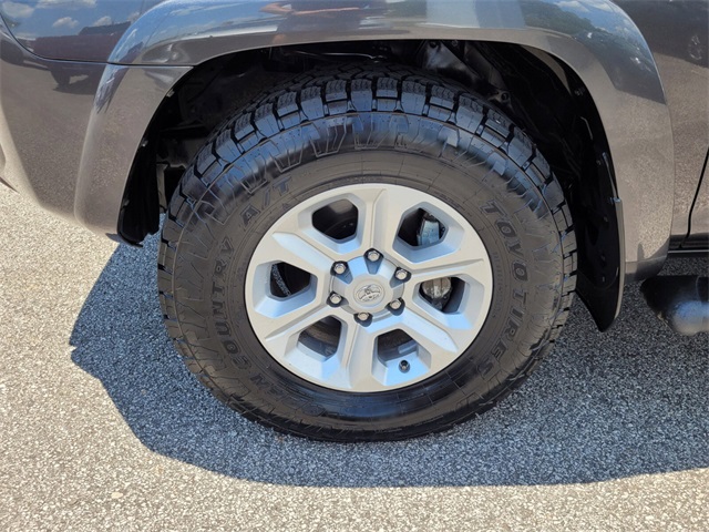2023 Toyota 4Runner SR5 Premium photo 9