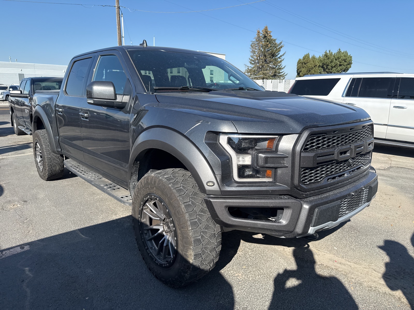 2020 Ford F-150 Raptor photo 7