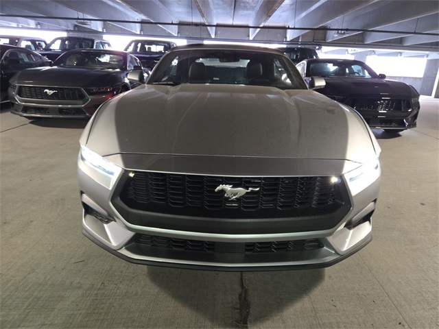 2025 Ford Mustang EcoBoost Convertible photo 3