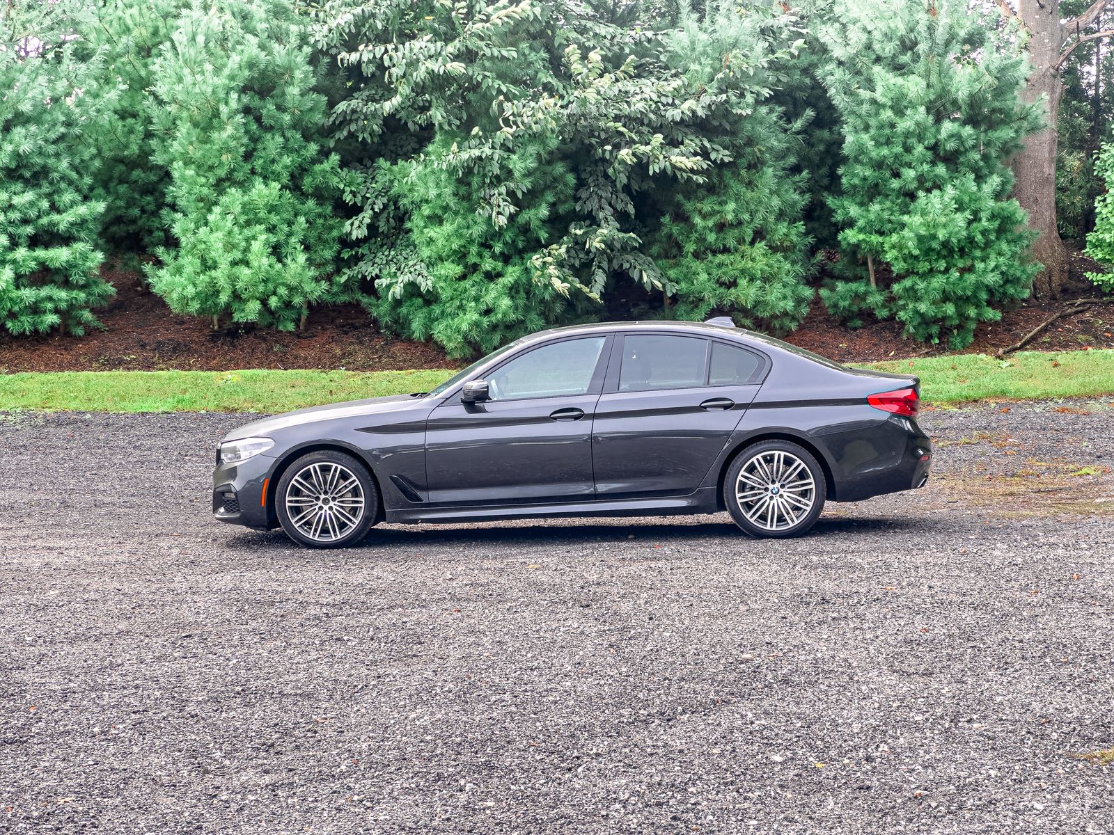 2020 Bmw 530i xDrive Sedan photo 4