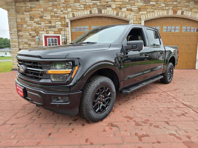 2025 Ford F-150 XLT photo 7
