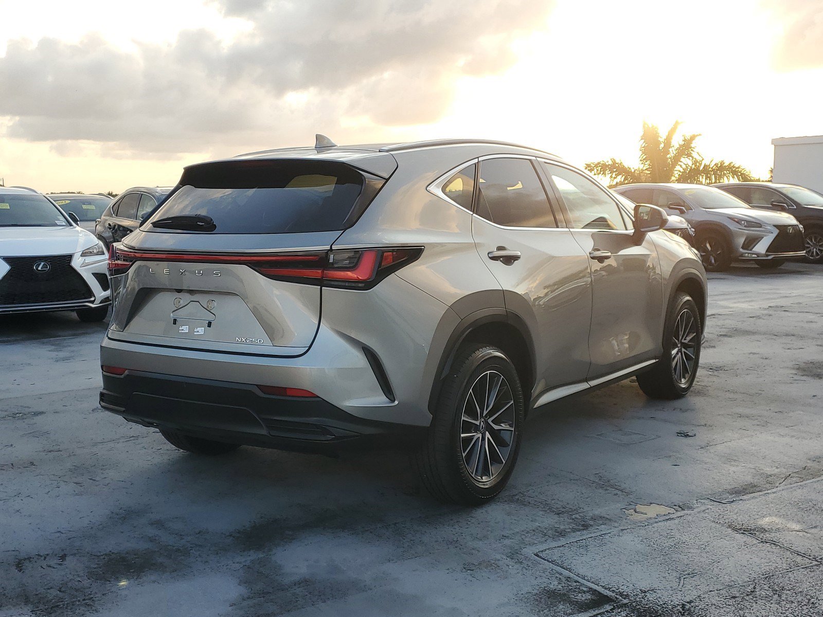 2024 Lexus NX 250 photo 8