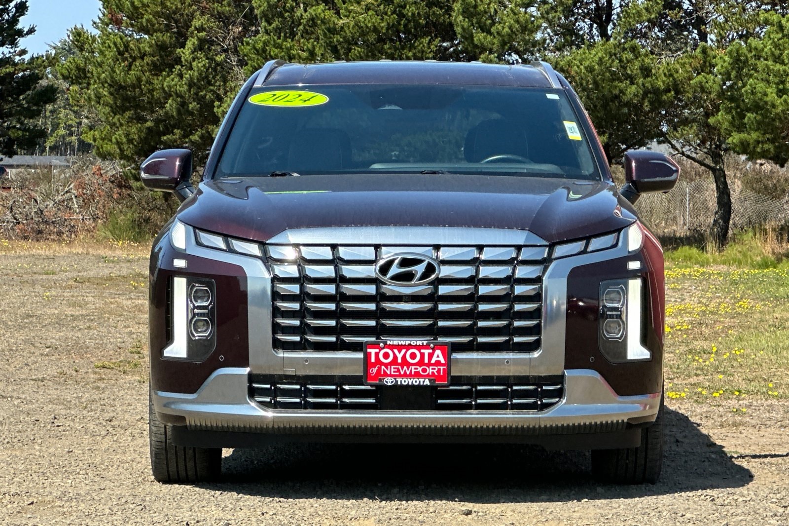 2024 Hyundai Palisade Calligraphy photo 5
