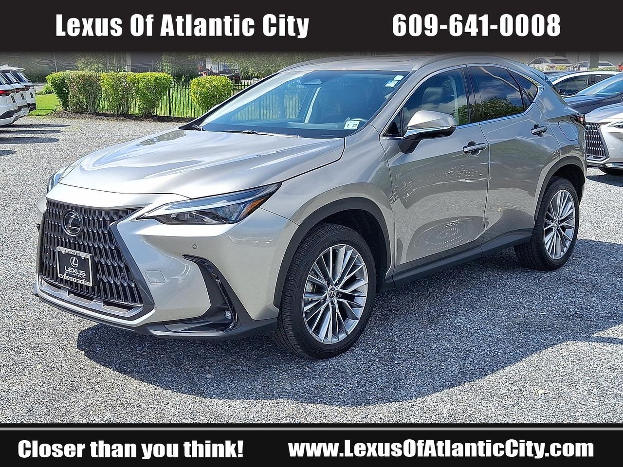 2025 Lexus NX 350 Premium photo 3