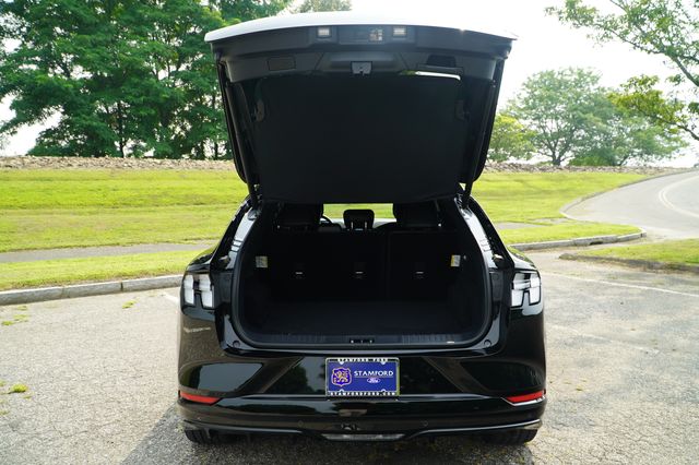 2024 Ford Mustang Mach-E GT photo 27