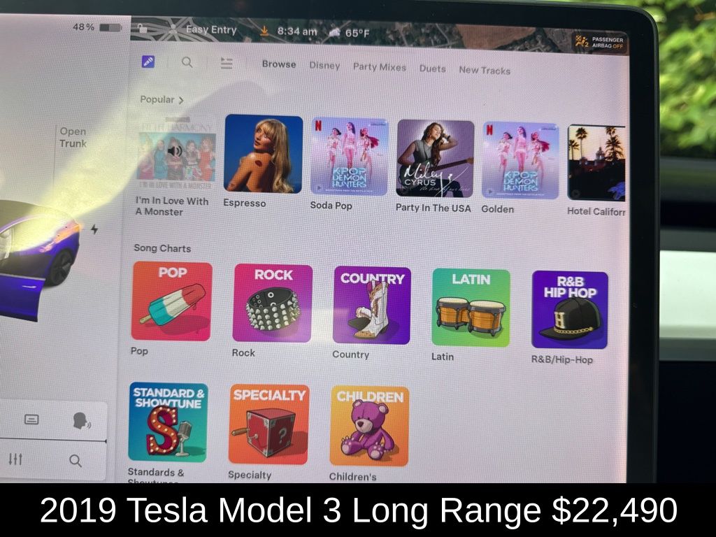 2019 Tesla Model 3 Long Range photo 22