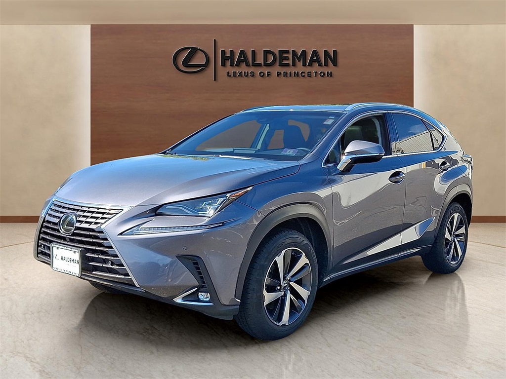 2019 Lexus NX 300 Luxury photo 2