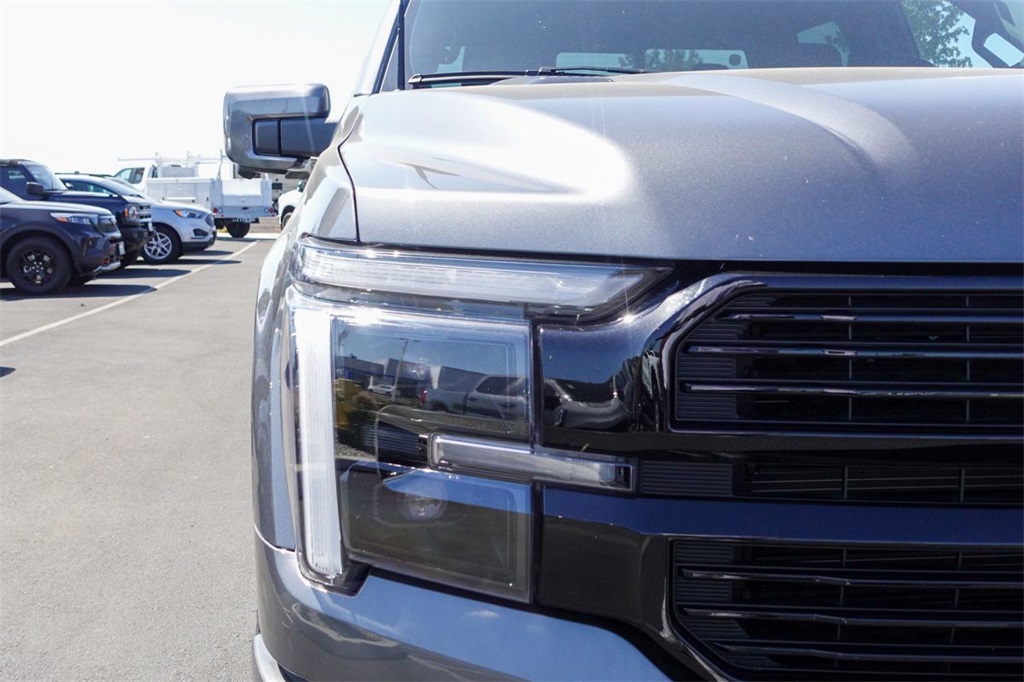 2024 Ford F-150 Platinum photo 4