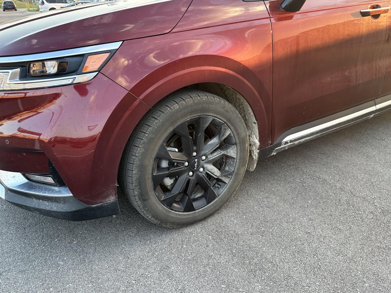 2022 Kia Carnival SX photo 6