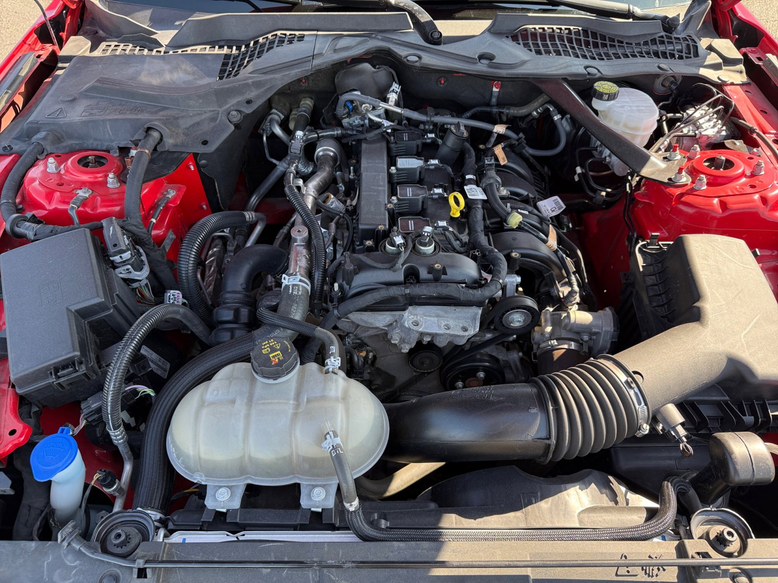 2023 Ford Mustang EcoBoost Premium photo 19