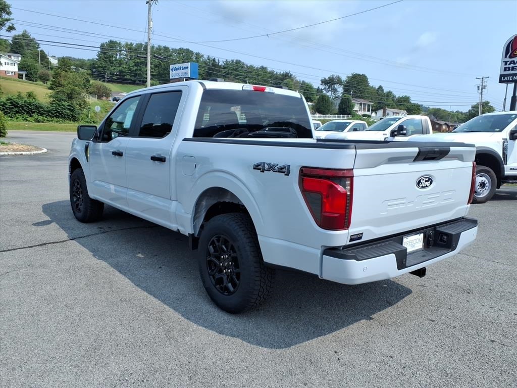 2025 Ford F-150 STX photo 3