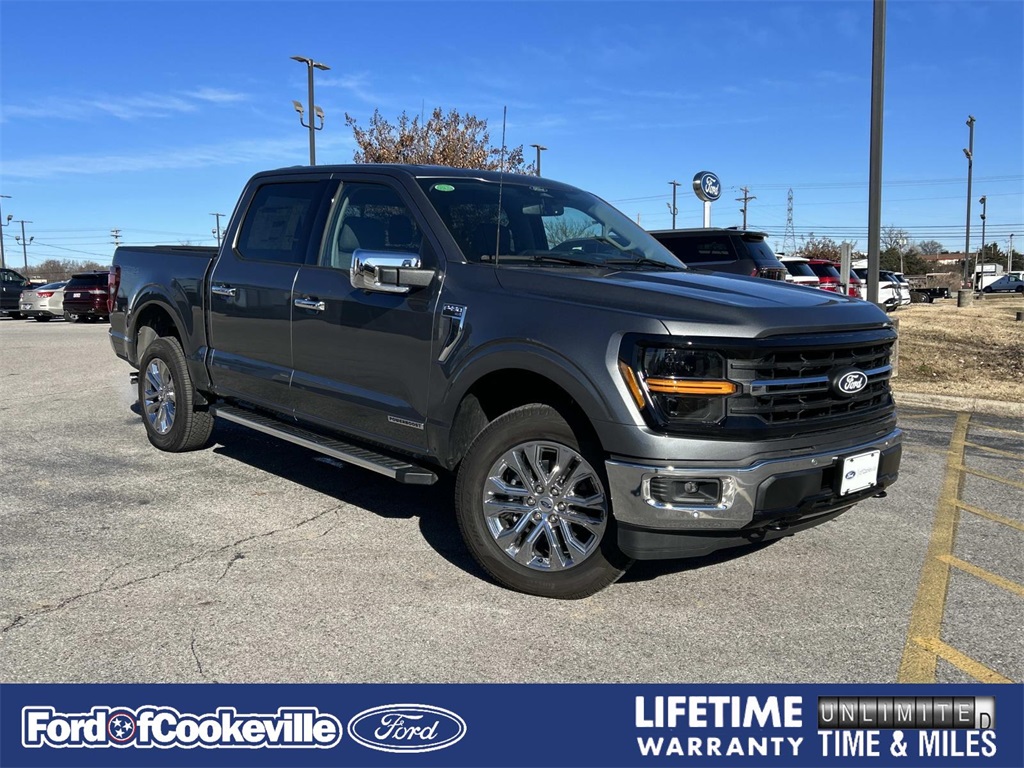 2025 Ford F-150 XLT's photo