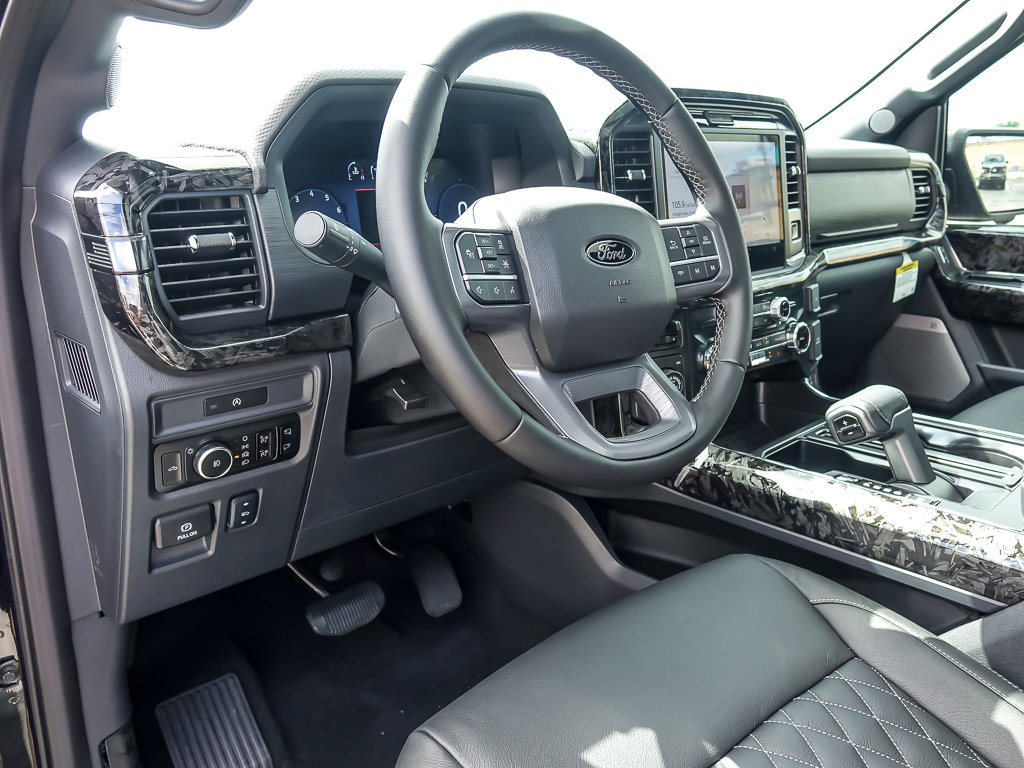 2025 FORD F-150 - Image 10