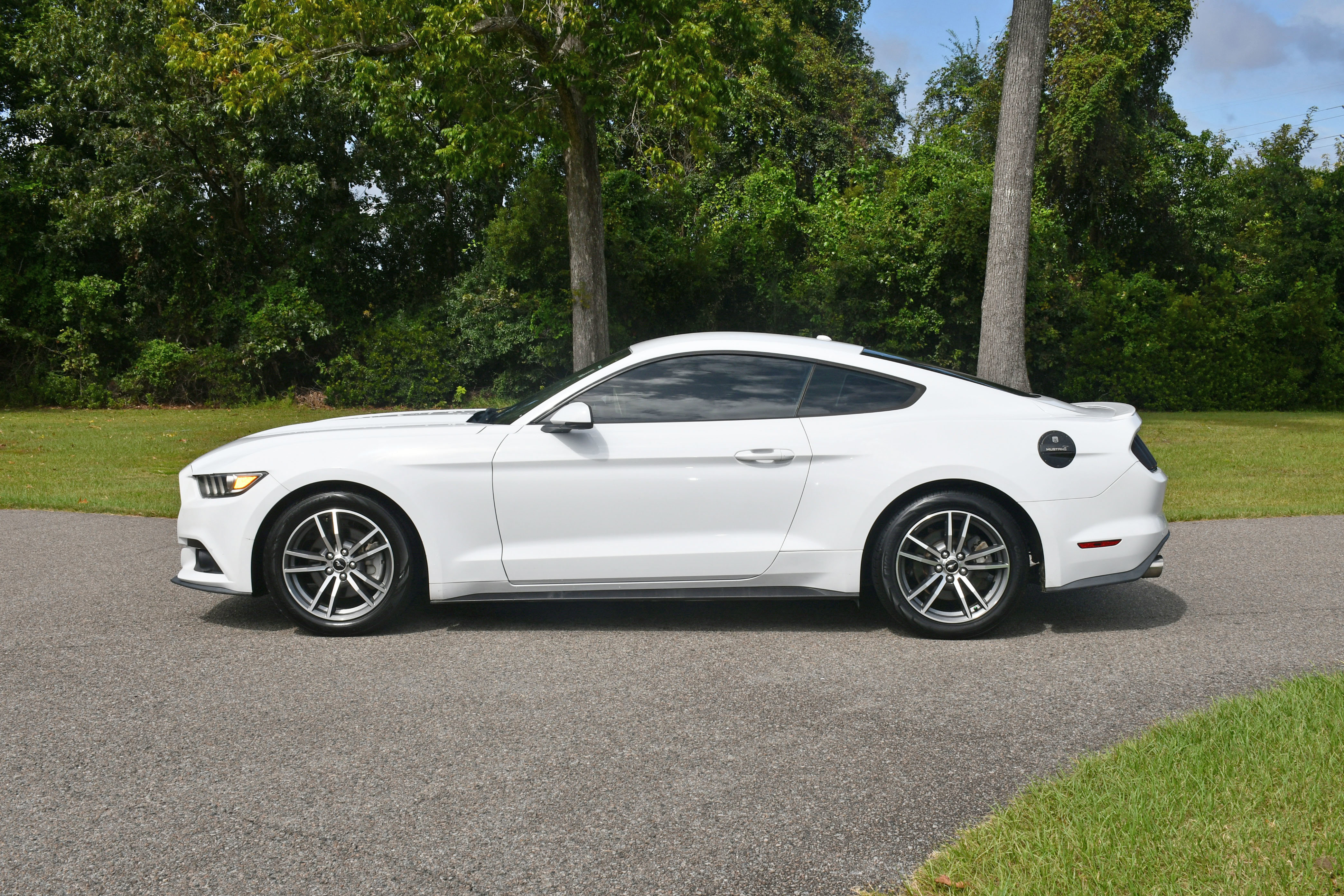 Used 2015 Ford Mustang EcoBoost with VIN 1FA6P8TH5F5384963 for sale in Beaufort, SC