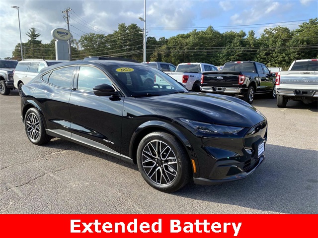 2025 Ford Mustang Mach-E Premium AWD's photo